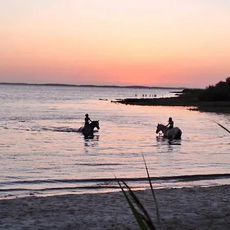 La 14 Climatisee - Escapade Sur Le Bassin D'arcachon - Terrasse & Nature Tatil Evi Lanton