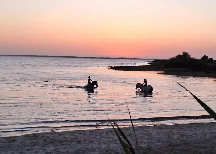 La 14 Hébergement de vacances Lanton